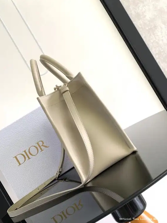 Tony Luxuries Bags-26.5*21*14cm Small Tote diro 0511